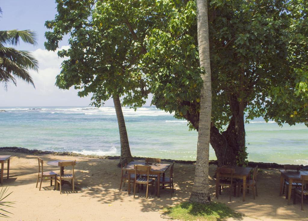 Palm Villa Mirissa Banduramulla Dış mekan fotoğraf