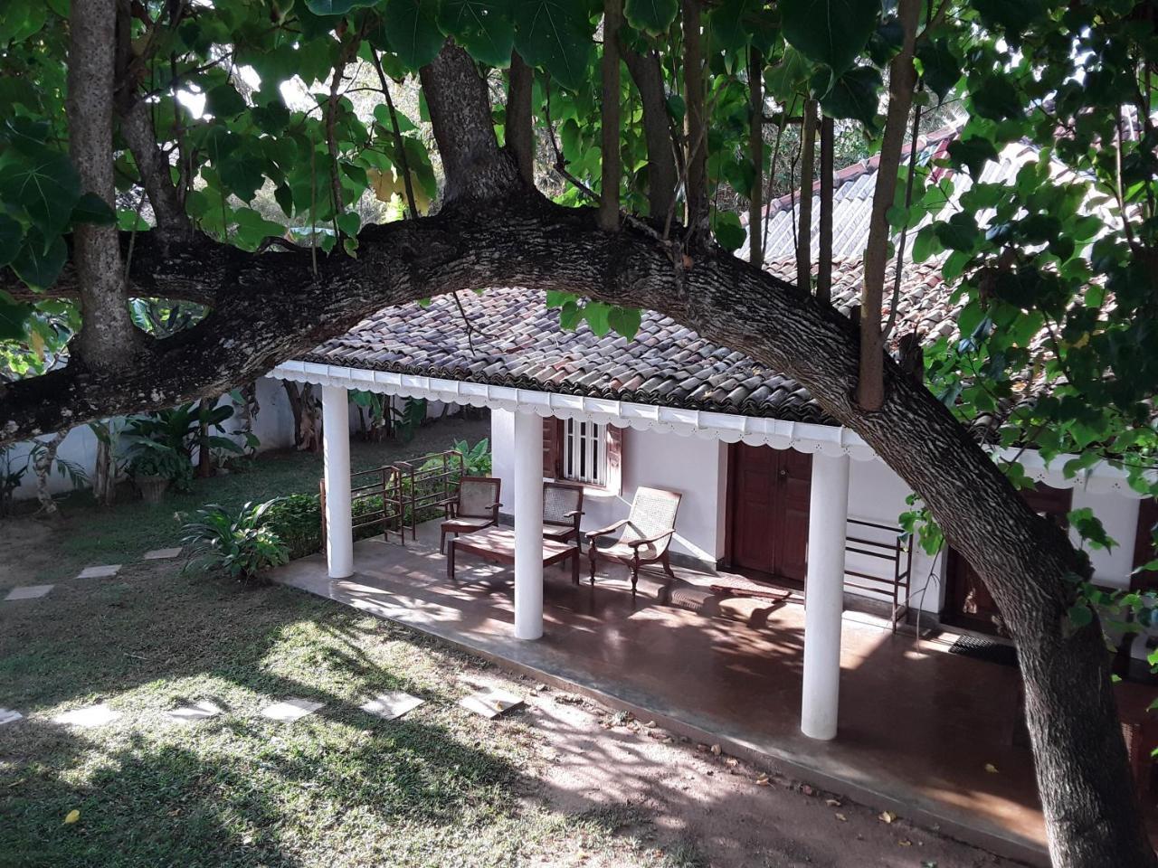 Palm Villa Mirissa Banduramulla Dış mekan fotoğraf