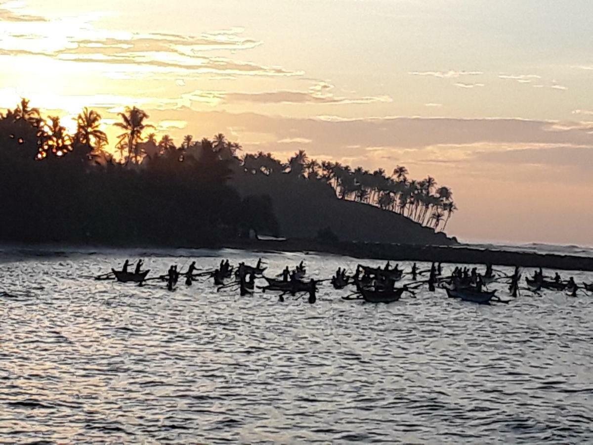 Palm Villa Mirissa Banduramulla Dış mekan fotoğraf
